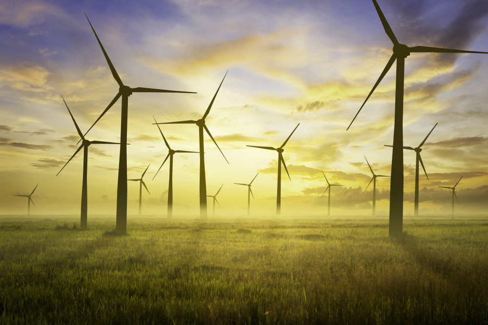Renewable Energy Focus: Brazil January 2020