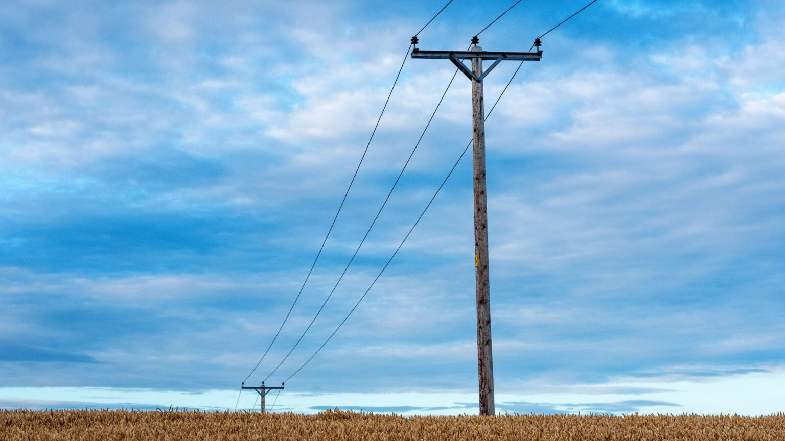 Wooden utility Pole in field