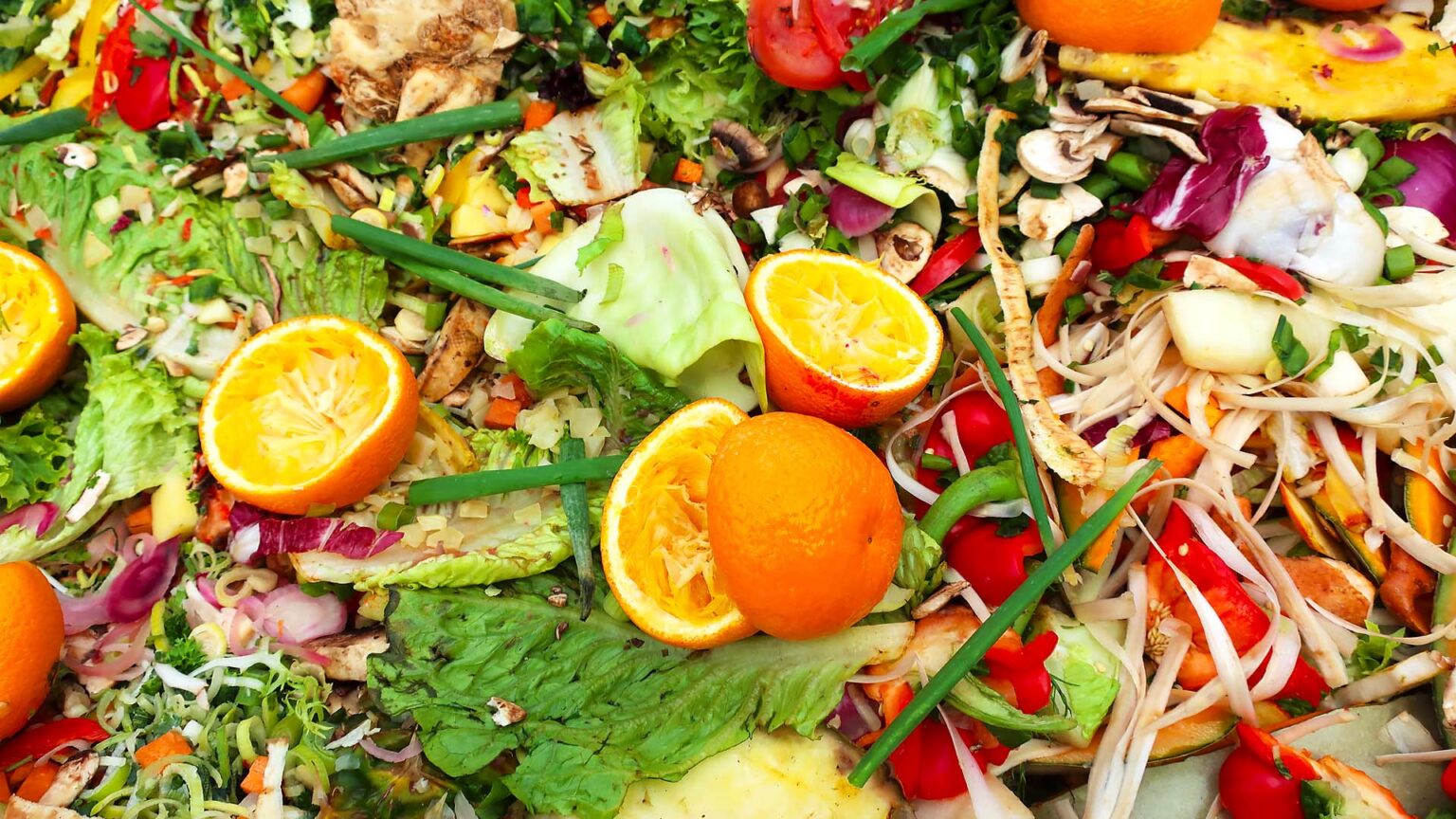 Food Waste for Biomethane Feedstock